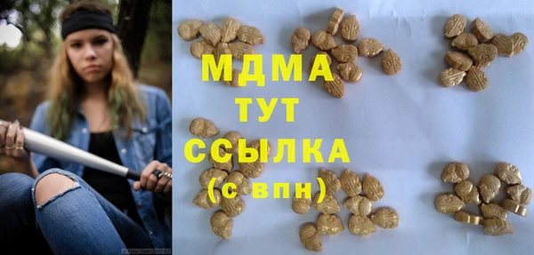 бошки Алексин