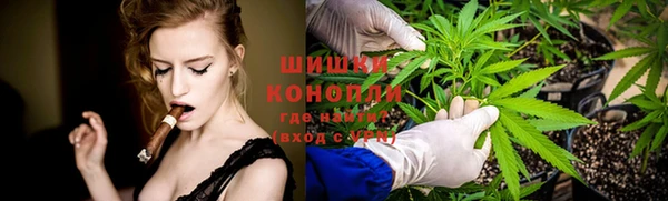 мяу мяу мука Алзамай