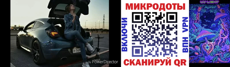 Псилоцибиновые грибы Psilocybine cubensis  Новоалтайск 