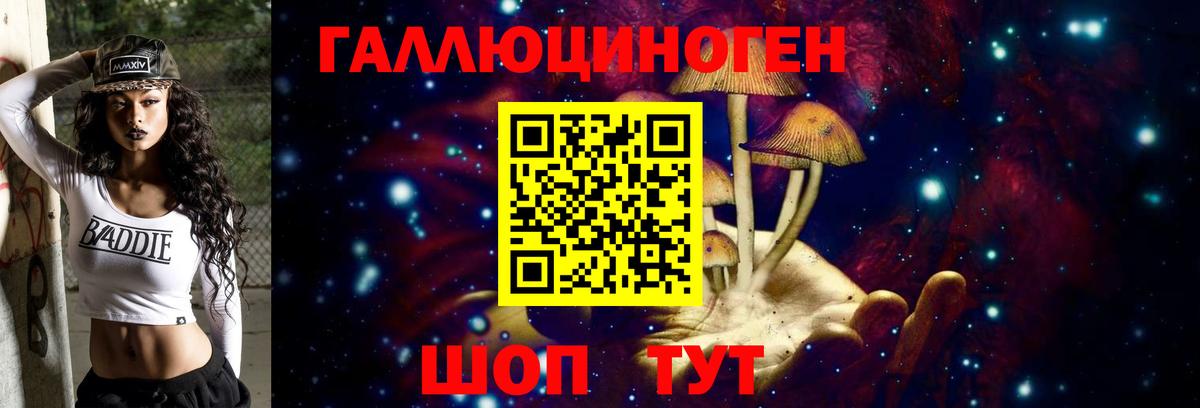 Галлюциногенные грибы Magic Shrooms  купить  цена  Новоалтайск  Вход с VPN 
